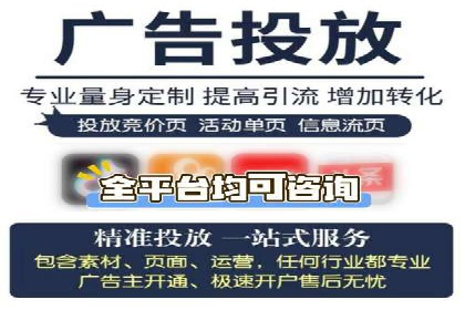 实战技巧：竞价推广案例解析与优化策略